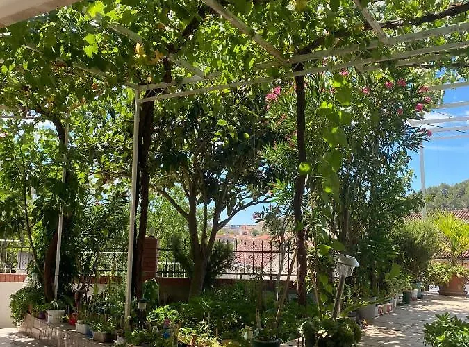 Affittacamere Zeljko Klaric 3*