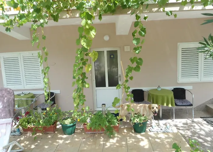 Zeljko Klaric Affittacamere