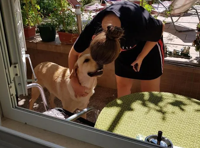 Zeljko Klaric Affittacamere 3*